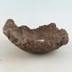 Ceramic shell 16 x 13 x 7 cm, color brown - 1/4