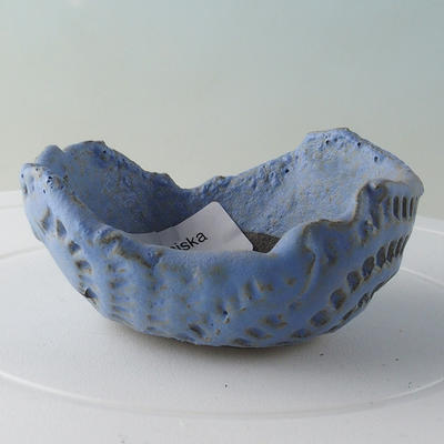 Ceramic shell 9 x 9 x 4 cm, color blue - 1