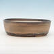 Bonsai bowl 34 x 27 x 10 cm, color beige - 1/5