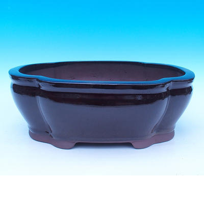 Bonsai bowl 34 x 28 x 11.5 cm - 1