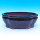 Bonsai bowl 41 x 33 x 15 cm - 1/7