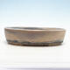 Bonsai bowl 36 x 27 x 8 cm, beige color - 1/5