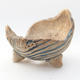 Ceramic Shell 7 x 7 x 6 cm, brown-blue color - 1/3