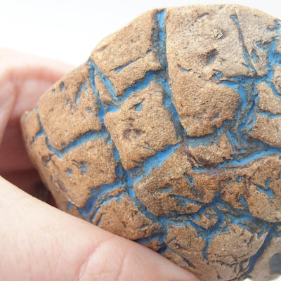 Ceramic Shell 7 x 7 x 6 cm, brown-blue color - 1