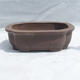 Bonsai bowl 25 x 20 x 7.5 cm, gray color - 1/7