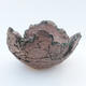 Ceramic Shell 8 x 8 x 5 cm, brown-green color - 1/3