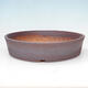Ceramic bonsai bowl 36.5 x 36.5 x 7.5 cm, brown color - 1/3
