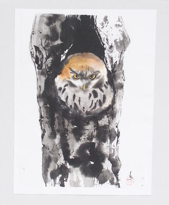 Calligraphy - Owl