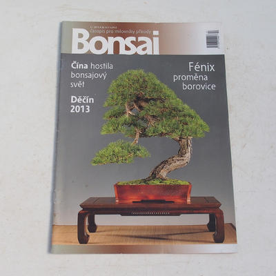 Bonsai magazine - CBA 2013-4