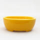 Ceramic bonsai bowl 9.5 x 8 x 3.5 cm, color yellow - 1/3