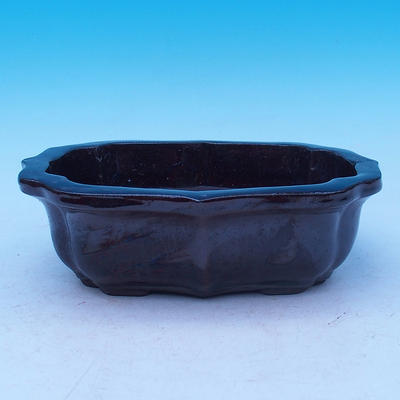 Bonsai bowl 22 x 17 x 7 cm - 1