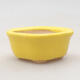 Mini bonsai bowl 4 x 3.5 x 2.5 cm, color yellow - 1/3