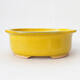 Ceramic bonsai bowl 22.5 x 18.5 x 8 cm, color yellow - 1/3