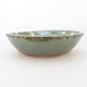 Ceramic bonsai bowl 17.5 x 17.5 x 5 cm, color green - 1/3
