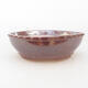 Ceramic bonsai bowl 17.5 x 17.5 x 5 cm, brown color - 1/3