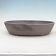 Bonsai bowl 34 x 27 x 7.5 cm, natural color - 1/7