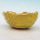 ceramic shell - 1/3