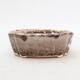 Ceramic bonsai bowl 11 x 8 x 3.5 cm, color white-brown - 1/3