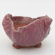 Ceramic shell 6 x 5 x 4 cm, color pink - 1/3