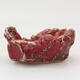 Ceramic shell 6.5 x 6 x 3 cm, color red - 1/3
