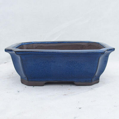 Bonsai bowl 24 x 19 x 8.5 cm, color blue - 1