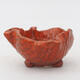 Ceramic Shell 6.5 x 5.5 x 3.5 cm, color orange - 1/3