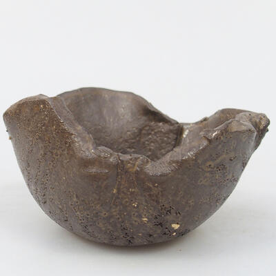 Ceramic shell 8 x 7 x 4.5 cm, color brown - 1