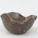 Ceramic shell 8 x 7 x 4.5 cm, color brown - 1/3