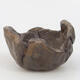 Ceramic shell 8.5 x 8.5 x 5.5 cm, color brown - 1/3