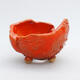 Ceramic shell 9 x 9 x 7 cm, color orange - 1/3