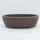 Bonsai bowl 26 x 19 x 7.5 cm, gray color - 1/7