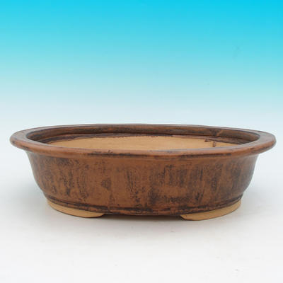Bonsai ceramic bowl CEJ 49, dark brown - 1