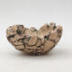 Ceramic shell 9.5 x 9.5 x 5 cm, color natural green - 1/3