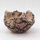 Ceramic Shell 9 x 8.5 x 6.5 cm, color natural green - 1/3