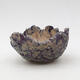 Ceramic shell 9 x 9 x 5 cm, color natural purple - 1/3