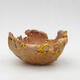 Ceramic Shell 9 x 7.5 x 5 cm, color natural yellow - 1/3