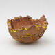 Ceramic shell 9.5 x 9 x 6 cm, color natural yellow - 1/3