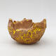 Ceramic Shell 9 x 9 x 6 cm, color natural yellow - 1/3
