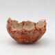 Ceramic Shell 9 x 8.5 x 6 cm, color natural orange - 1/3