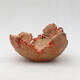 Ceramic Shell 10 x 9 x 6 cm, color natural orange - 1/3