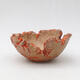 Ceramic Shell 10 x 9 x 5 cm, color natural orange - 1/3