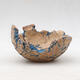 Ceramic Shell 9 x 8 x 5.5 cm, color natural blue - 1/3