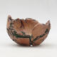 Ceramic shell 8.5 x 7.5 x 6.5 cm, color natural green - 1/3