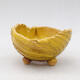 Ceramic Shell 8.5 x 8.5 x 5.5 cm, color yellow - 1/3