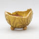 Ceramic Shell 9 x 8.5 x 6.5 cm, color yellow - 1/3