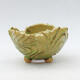 Ceramic Shell 9 x 8.5 x 6 cm, color green - 1/3