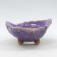Ceramic shell 9.5 x 9 x 5 cm, color purple - 1/3