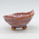 Ceramic shell 8.5 x 8 x 5 cm, color purple - 1/3