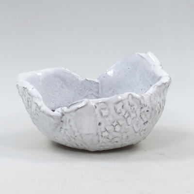 Ceramic Shell 9 x 8.5 x 5.5 cm, color white - 1