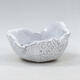 Ceramic Shell 9 x 8.5 x 5.5 cm, color white - 1/3